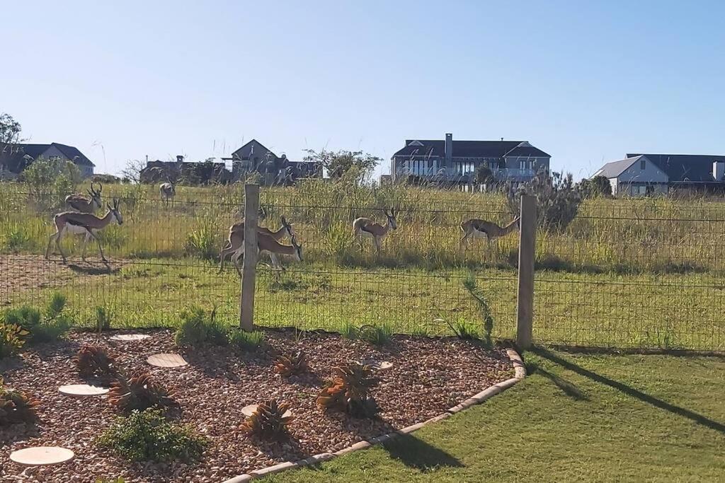 Villa The Halfway House @ Kingswood Golf Estate George Exterior foto